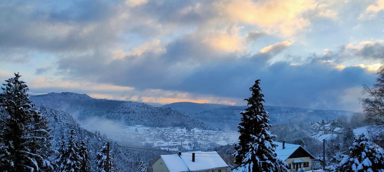 Au Chalet Bain Nordique neuf indépendant calme assuré Haselbourg Exterior foto